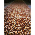 Flame-retardant Wall to Wall Printing Carpet